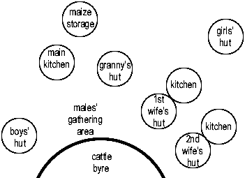 the structure of a traditional homestead